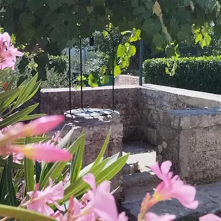Holiday home New!!!villa D'vita On Huge Fenced